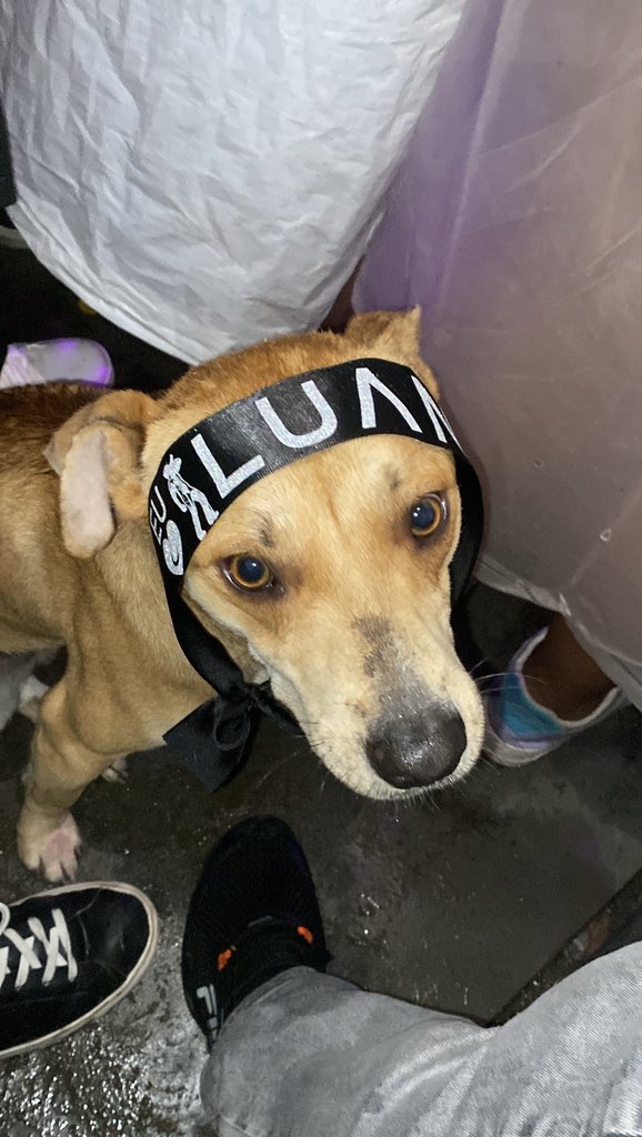 AUAUnete no show do cantor em Gravatá 🤌❤️😆