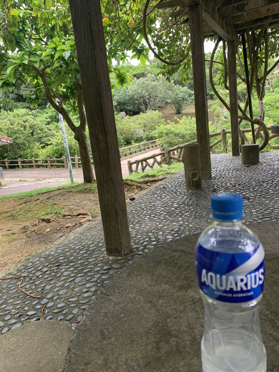 ããŒãã (@ruukasusamaya) on Twitter photo ãã¯ããŒð
æ£æ©ããªããããªãŒãã«é¢ä¿ãªã
ã¯ã¯ã¬ã¿ãªã¹3å¹
ãç¶ãããš3æ³ãããã®ç·ã®åãè«åãã«ããŠãããããããŒ
åäŸããã£ã¡ãåãã§ã
ããããŒâïž
ãç¶ãããæ¥ãã°ããã ãã©
ããŒåž°ããããªèšããŠãç¬ç¬
ã¿ããªä»æ¥ããã1æ¥ã«ãªããšãããâïžâïžâšâš ãã¯ããŒð
æ£æ©ããªããããªãŒãã«é¢ä¿ãªã
ã¯ã¯ã¬ã¿ãªã¹3å¹
ãç¶ãããš3æ³ãããã®ç·ã®åãè«åãã«ããŠãããããããŒ
åäŸããã£ã¡ãåãã§ã
ããããŒâïž
ãç¶ãããæ¥ãã°ããã ãã©
ããŒåž°ããããªèšããŠãç¬ç¬
ã¿ããªä»æ¥ããã1æ¥ã«ãªããšãããâïžâïžâšâš