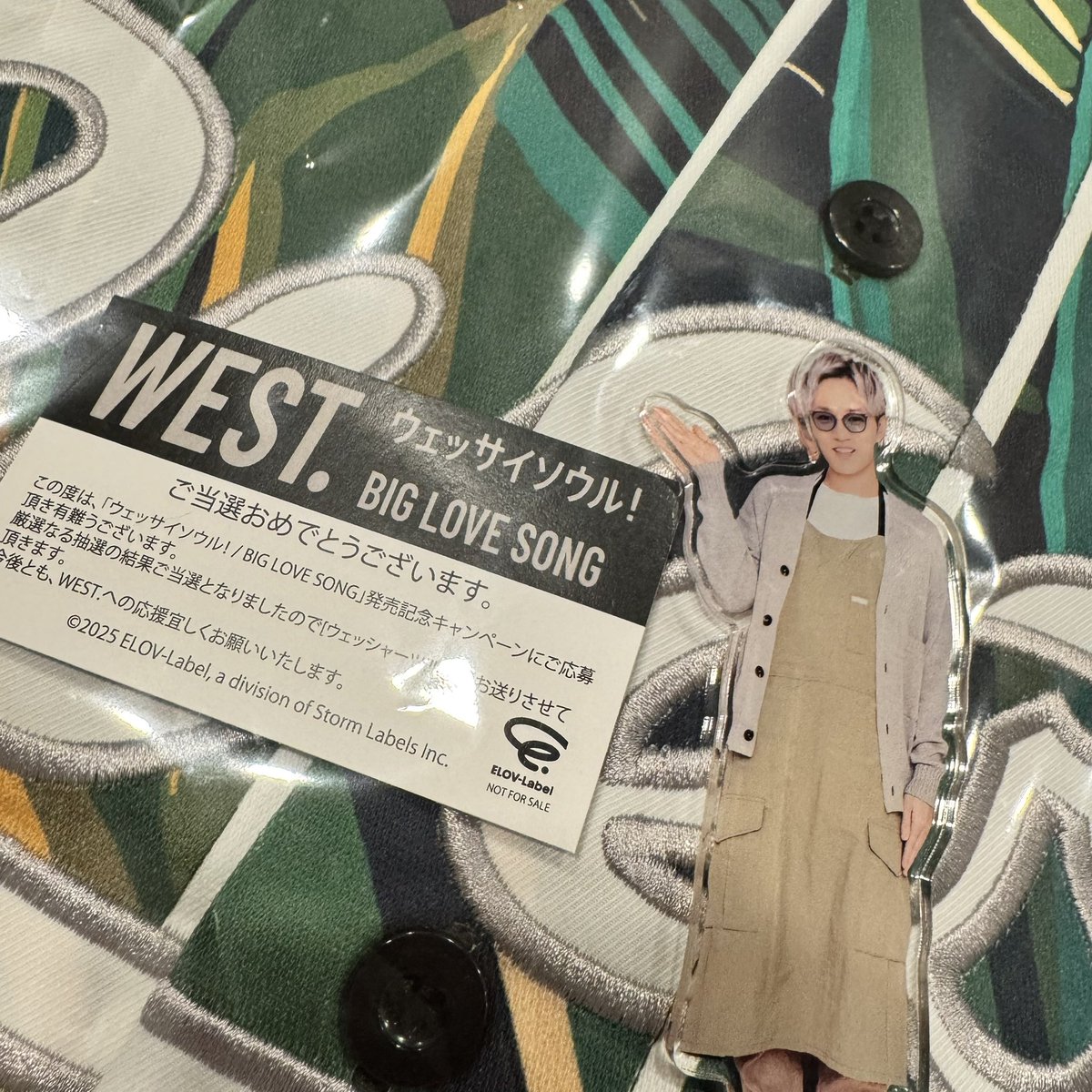 nekoji27's tweet photo. ウェッシャーツ届いたぞぉ！！
可愛いやん💚

#WEST.
#ウェッサイソウル
#ウェッシャーツ https://t.co/aZswmIC12a