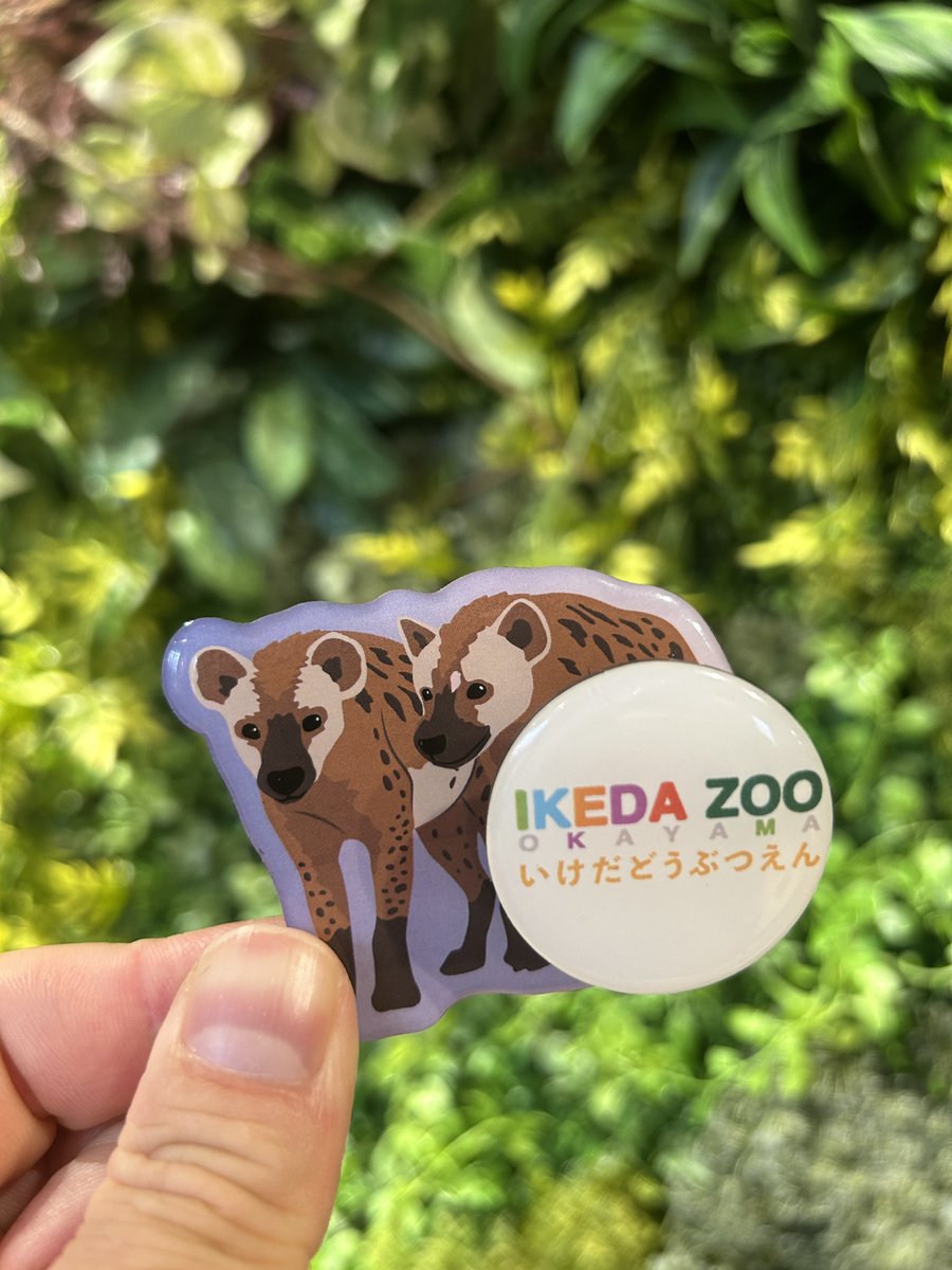 ブッチページ♡ TシャツはDAIRIKUのリンガーT 大きめに着たくてデザイナーの岡本さんに