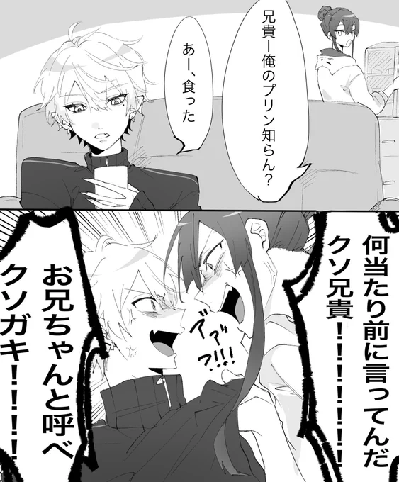#軽い気持ちで描いたら反響があった絵

これとか?兄弟喧嘩 