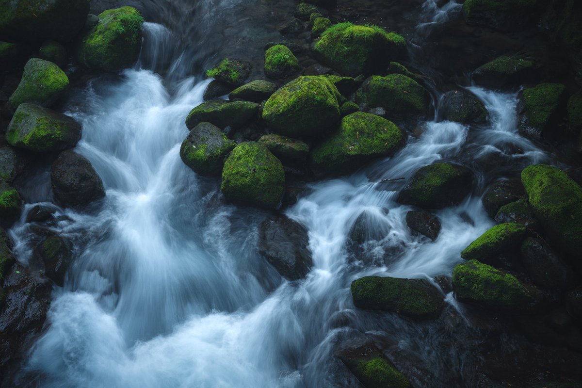 TT__Photo's tweet image. 2021 - 2024
同じ場所を同じように