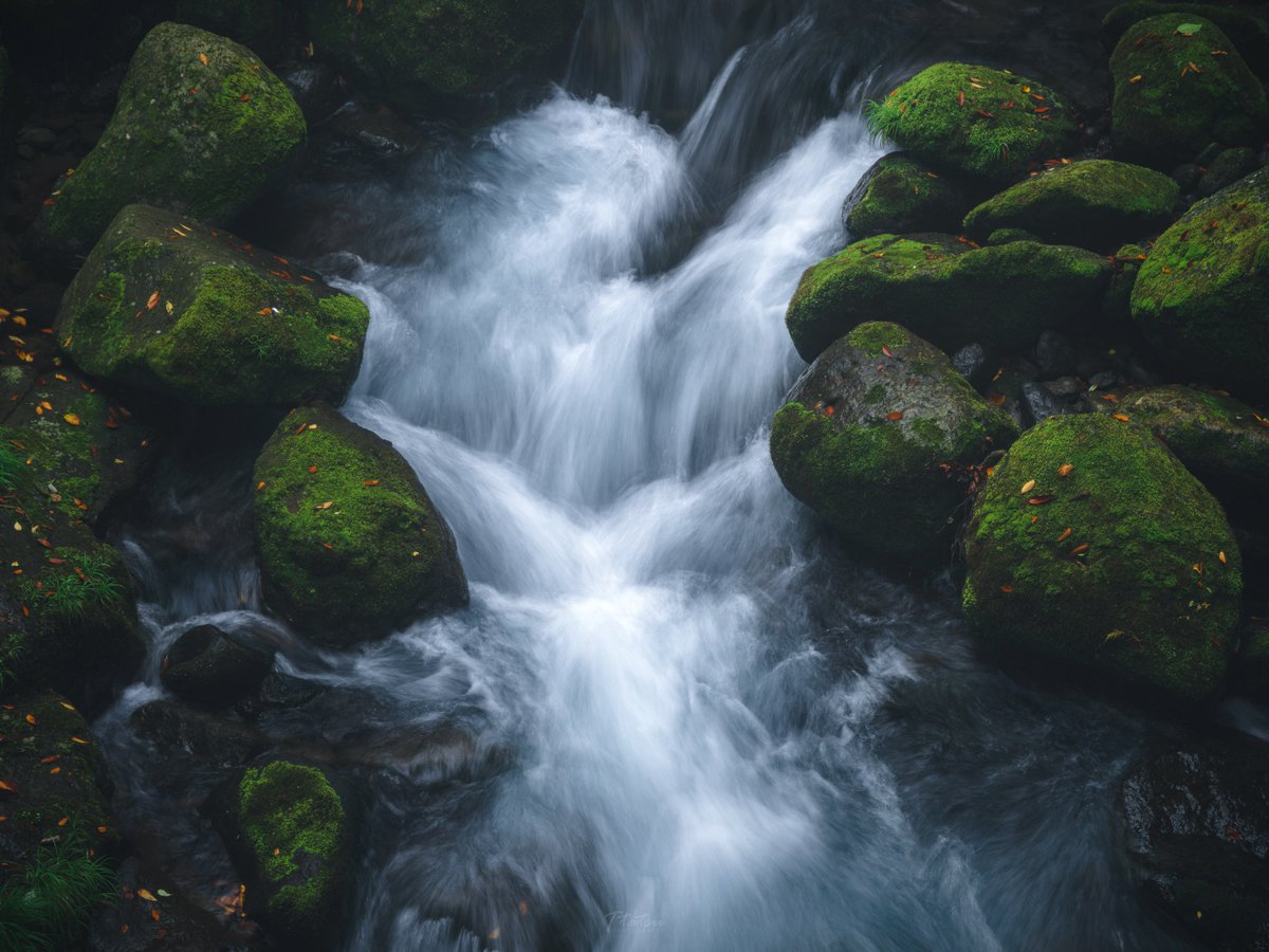 TT__Photo's tweet image. 2021 - 2024
同じ場所を同じように