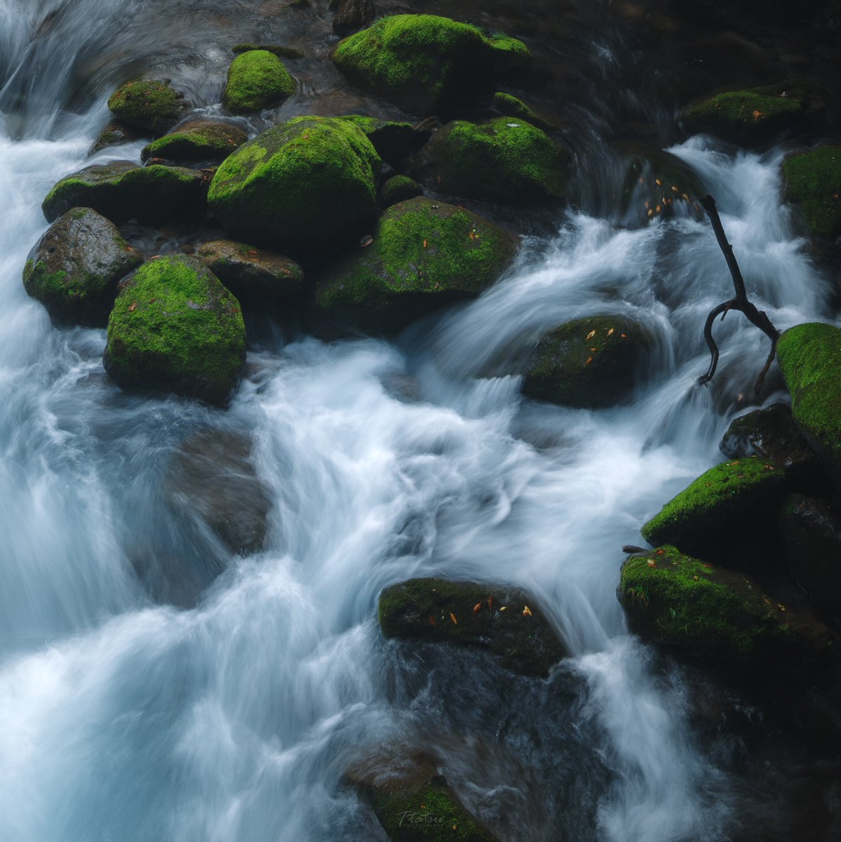 TT__Photo's tweet image. 2021 - 2024
同じ場所を同じように