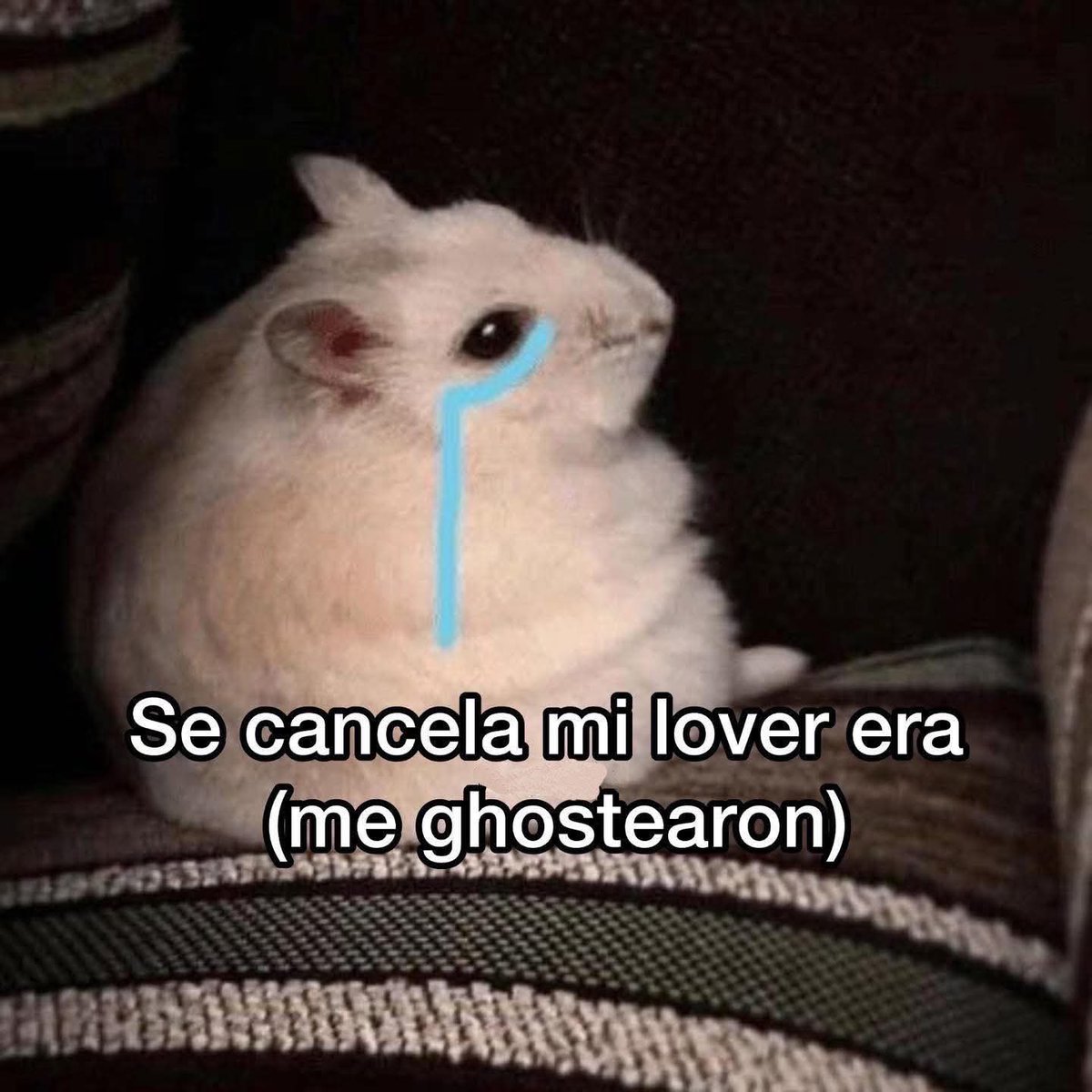 triste y con ganas de morirme ☹︎ tweet media