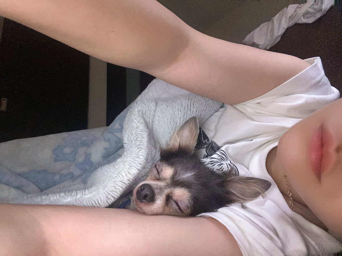 同担拒否🌙りたんちゃん《ずっと〆火力》 tweet media