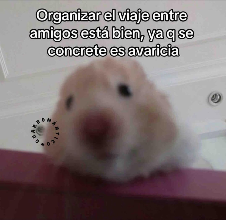 Guarromantico_'s tweet image. La vdd.