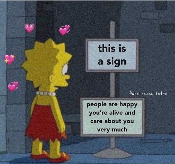 WholesomeMemes (@wholesomememe) on Twitter photo 