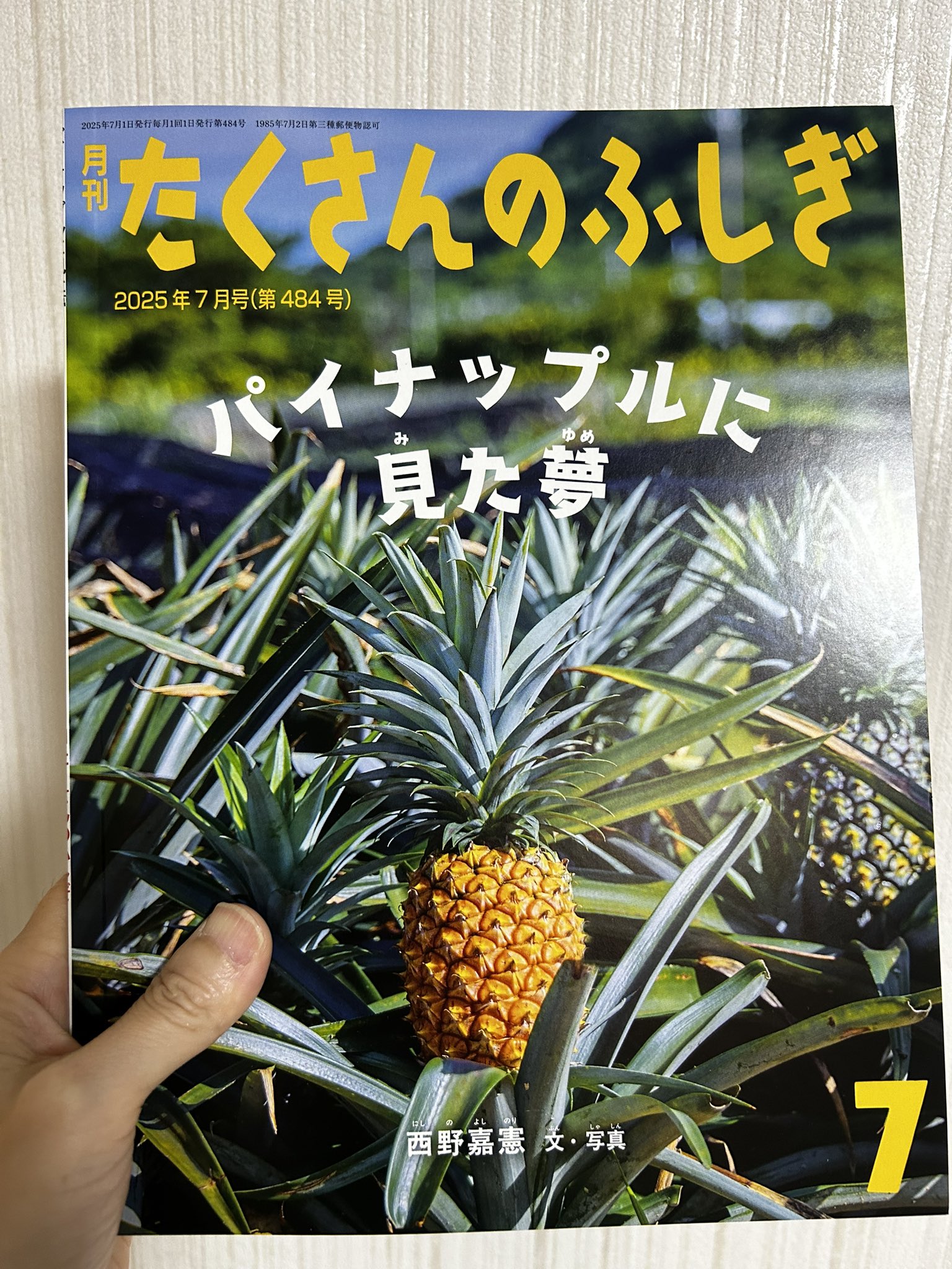 たくさんのふしぎ 20冊セット