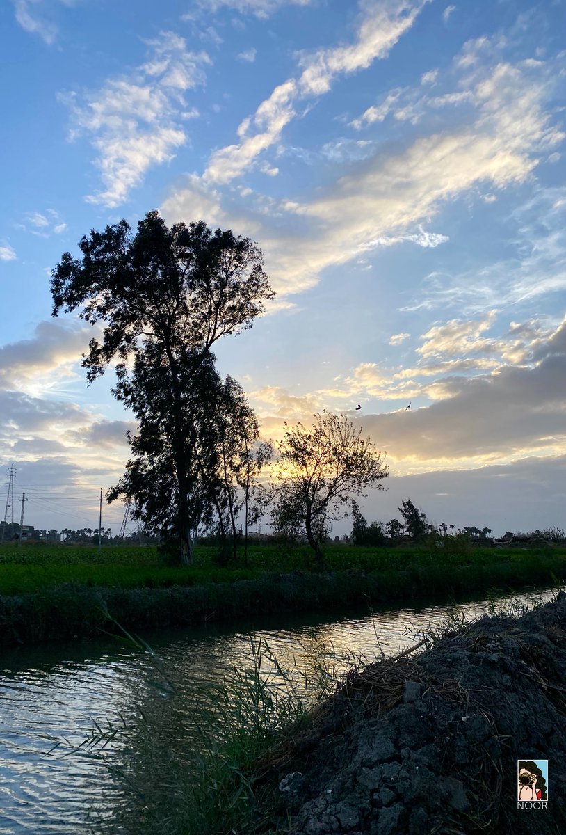 صباح الخير ☀️✨