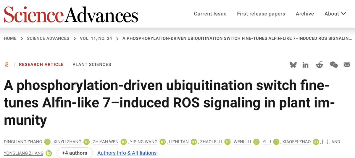 zhangyongliang7's tweet image. We found that phosphorylation and ubiquitination of AL7 fine-tune ROS homeostasis at the transcriptional level during ETI responses.
science.org/doi/10.1126/sc…