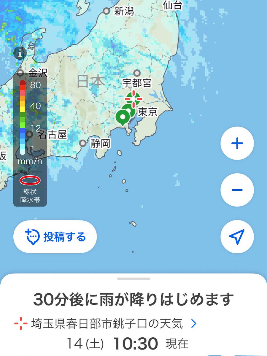 本日、上野公園の予定でしたが、おそらくキャンセルするかと思います😓