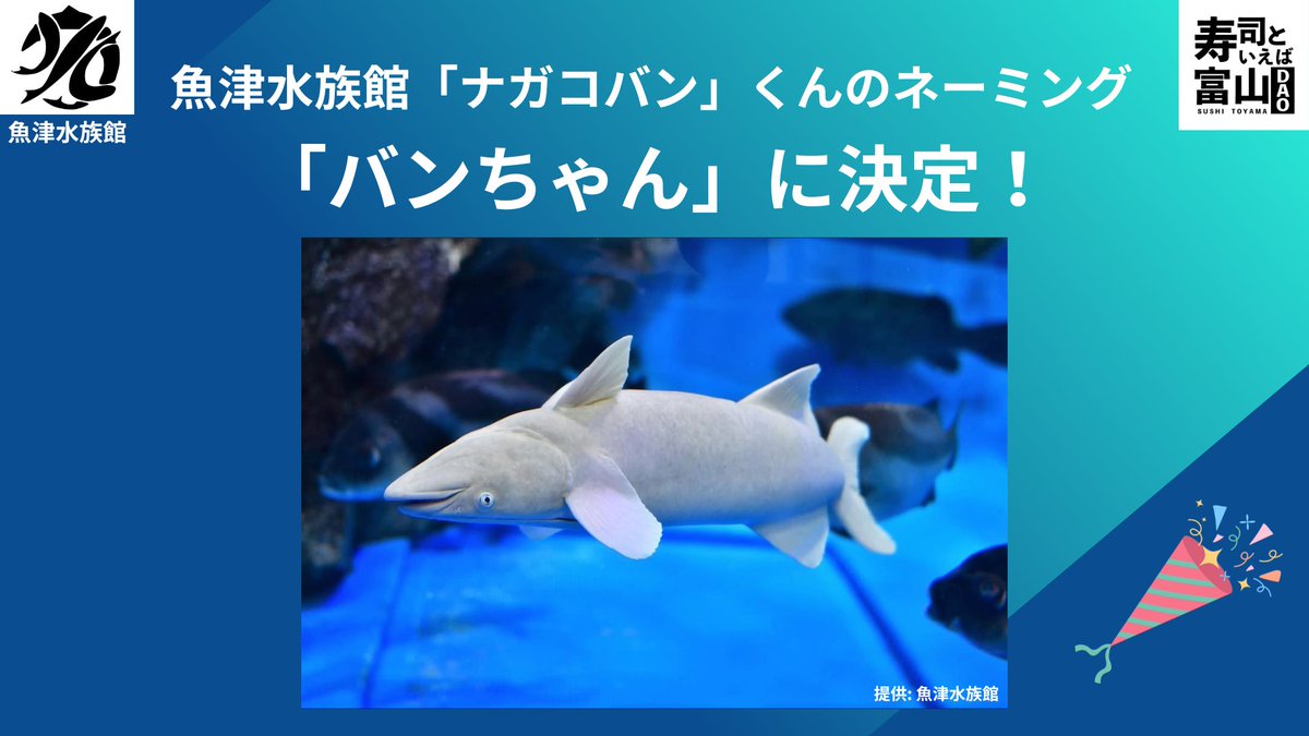 魚津水族館 コバンザメ科 「バンちゃん」の キャラクターを寿司DAOで