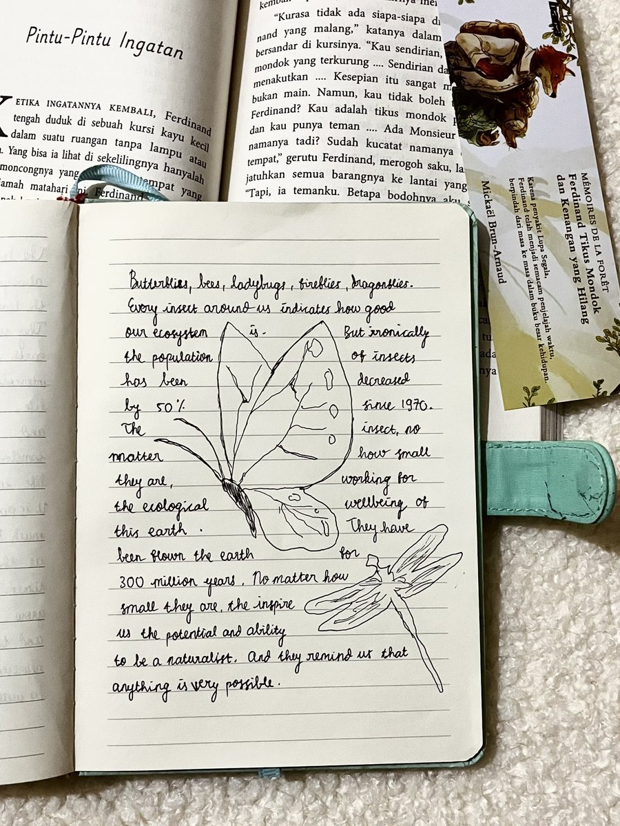 literalisaa's tweet photo. i love when i teach myself about nature journaling 🍃🌳 will do it more and more and more until i become naturalist 🍄🐚🦩🦜🦚 https://t.co/XooEL43oMI