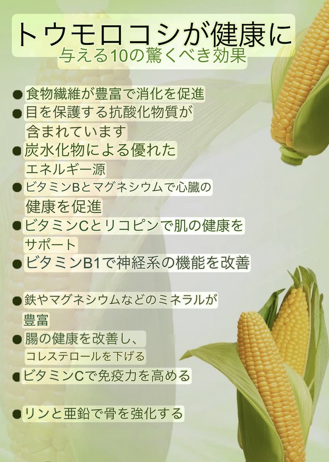 とうもろこしページ2 楽天市場】とうもろこし 北海道富良野産 激甘 トウモロコシ