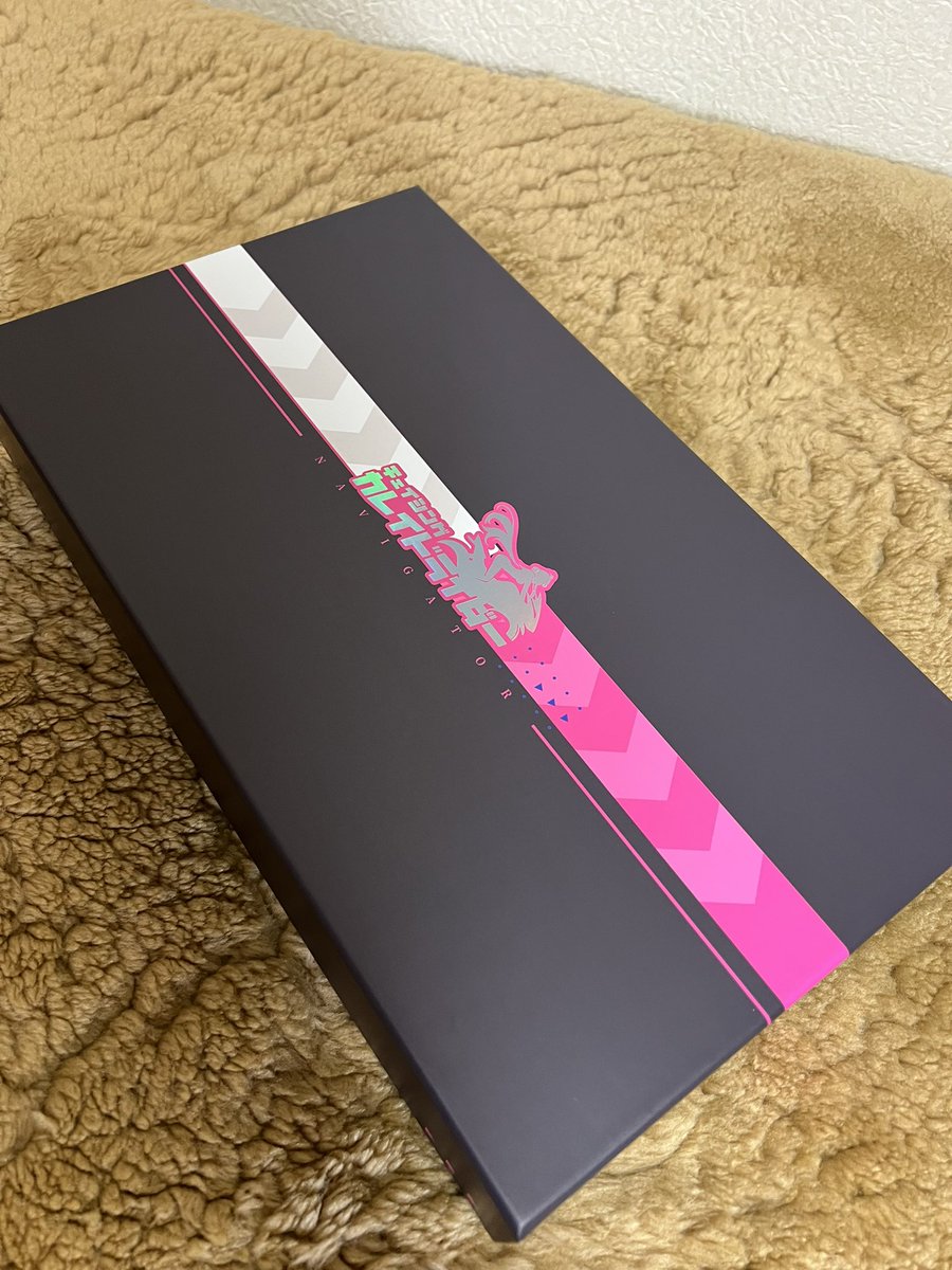 チェイシング・カレイドライダー のキャンペーンで当たった公式グッズ