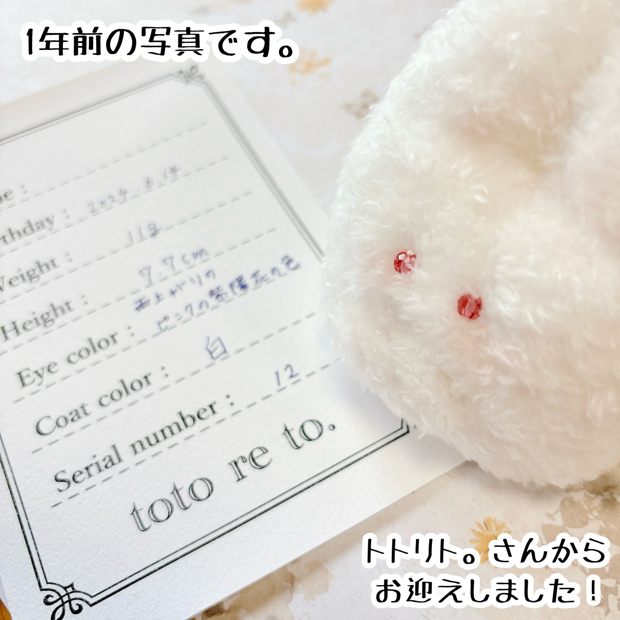 docococo (@docococo_) / X