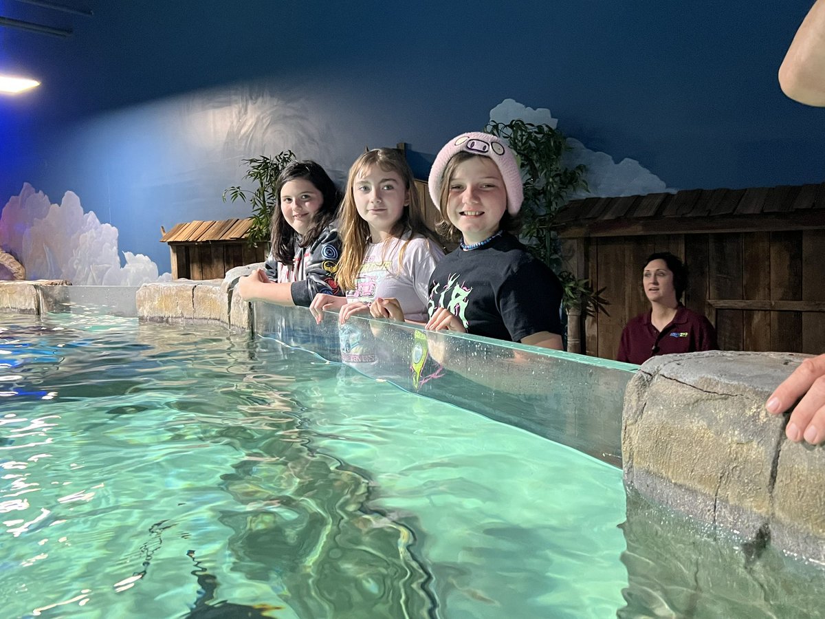 Charles Motter tweet media