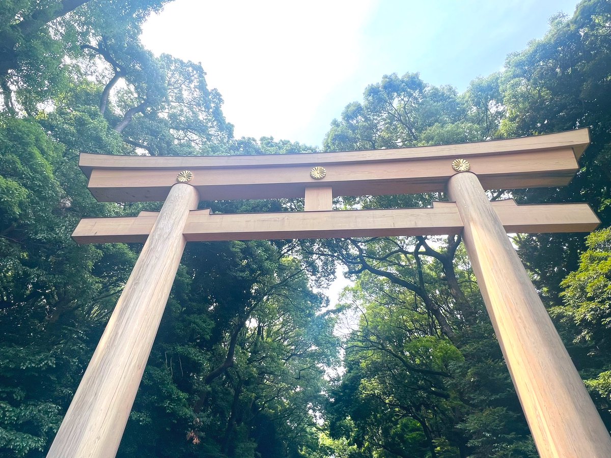 昨日の明治神宮の花菖蒲。花盛りですが、つぼみの株もけっこうあって、まだ楽しめそう。深窓佳人、黒雲、夕日潟、花の名前がいちいちかっこよい。
明治神宮に入るの、10年ぶりくらいかも。緑が気持ちよかったー。上野の不忍池のもさもさワイルドな蓮畑とまた違う、繊細な蓮池も見頃でした。