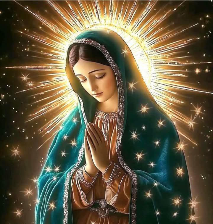 DANTE_eloficial's tweet image. ✝️ Dios te salve, María, 
llena eres de gracia;
el Señor es contigo.
Bendita Tú eres 
entre todas las mujeres,
y bendito es el fruto de tu vientre, Jesús. 

Santa María, Madre de Dios,
ruega por nosotros, pecadores,
ahora y en la hora de nuestra muerte. Amén 🙏