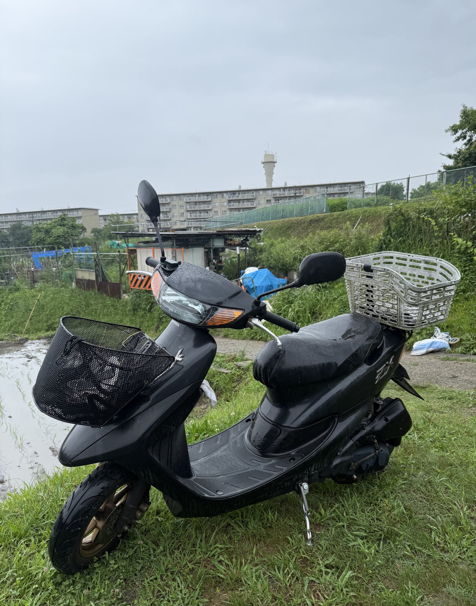 福岡荒江のデカ盛り弁当！地元民御用達の大人気弁当屋紹介 | TikTok