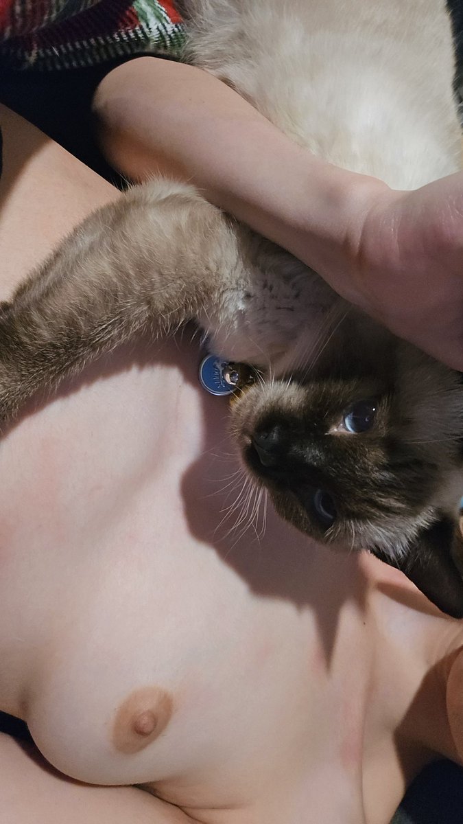 prettyintease's tweet photo. Someone tell this cat im not her birth mother and to stop trying to nurse on me #egirl #goth #boobs #cute #petite #skinny #onlyfans #fansly #nsfw #nude https://t.co/4U7oNTNKgu