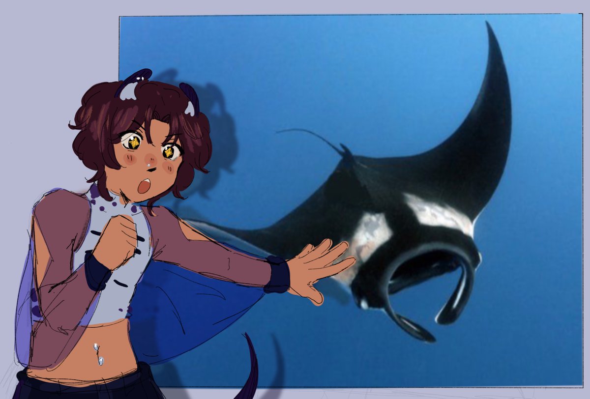 mmanta_rays's tweet image. would people listen if i ranted about manta rays like this?
