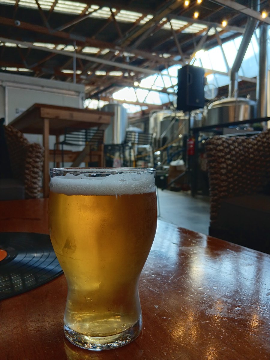 WoodOnWineNZ's tweet image. Various angles of various beers at #Brewaucracy #LoveTheTron