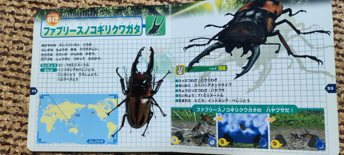 ムシキング #ファブリースノコギリクワガタ オレンジのハヤブサ 私の
