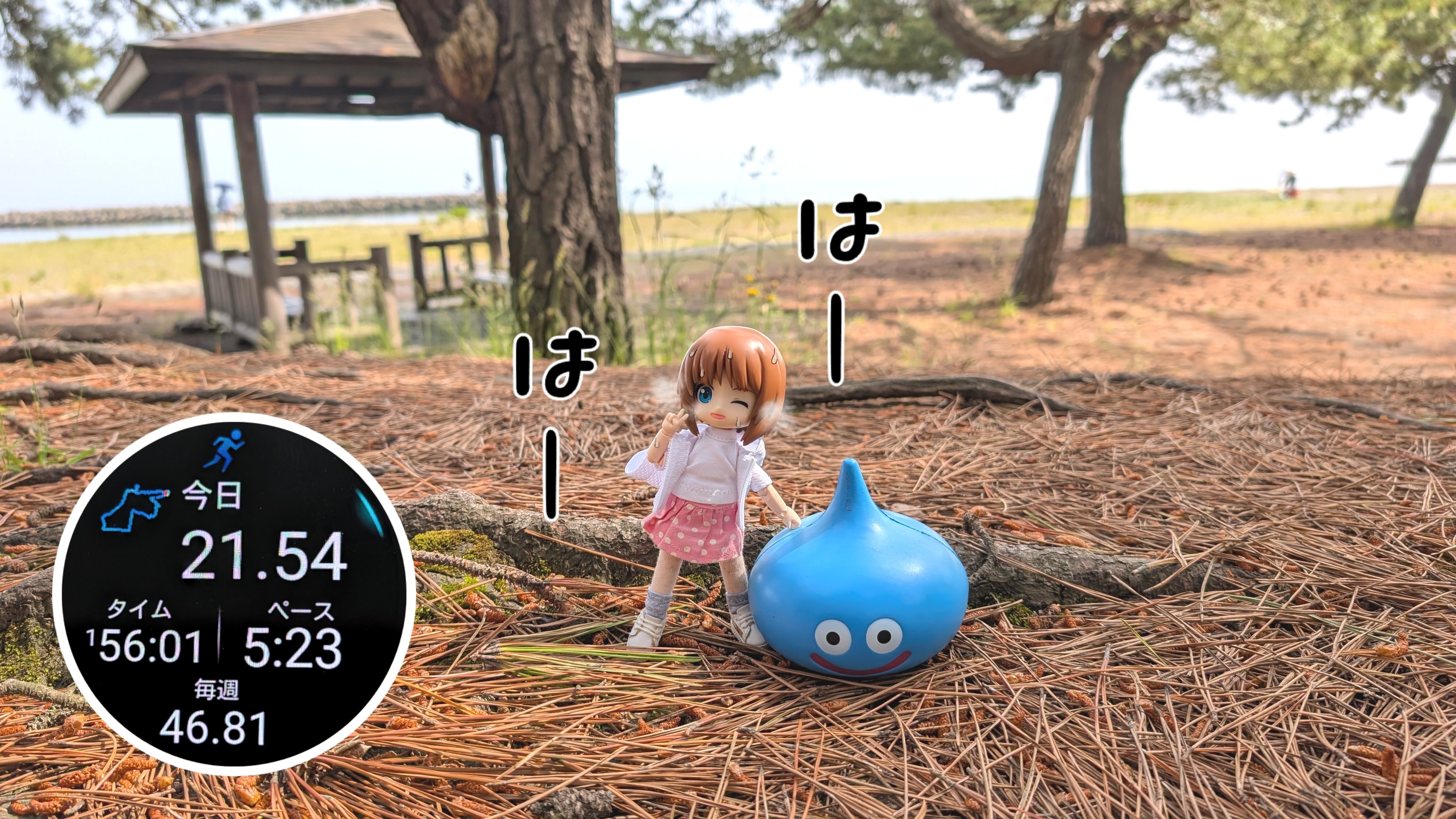 りんごちゃん🍎 on X: 