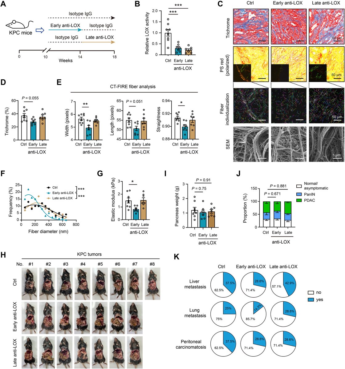 Letter to Editor✍️#Targeting #stiff #stroma by neutralizing #LOX-mediated matrix crosslinking in #pancreatic #cancer. From Dr. Jiang <a href="/SJTUniv/">ShanghaiJiaoTongUniv</a>; <a href="/ELSpharma/">Elsevier Pharma</a>. 
sciencedirect.com/science/articl….