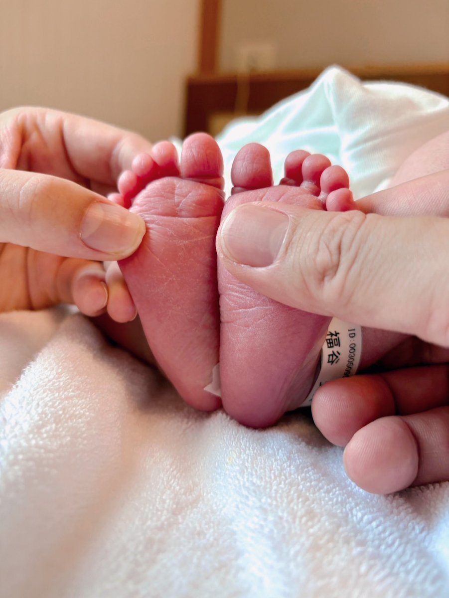 福谷直人@生成AI×セラピスト×産業保健•健康経営 tweet media