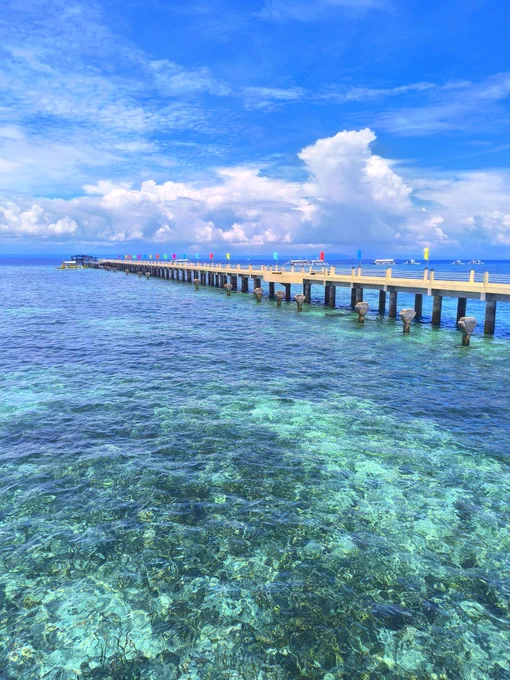 セブ島の海写真。 久しぶりにシュノーケルもやってきたけど、めっちゃ魚いた!感動!
