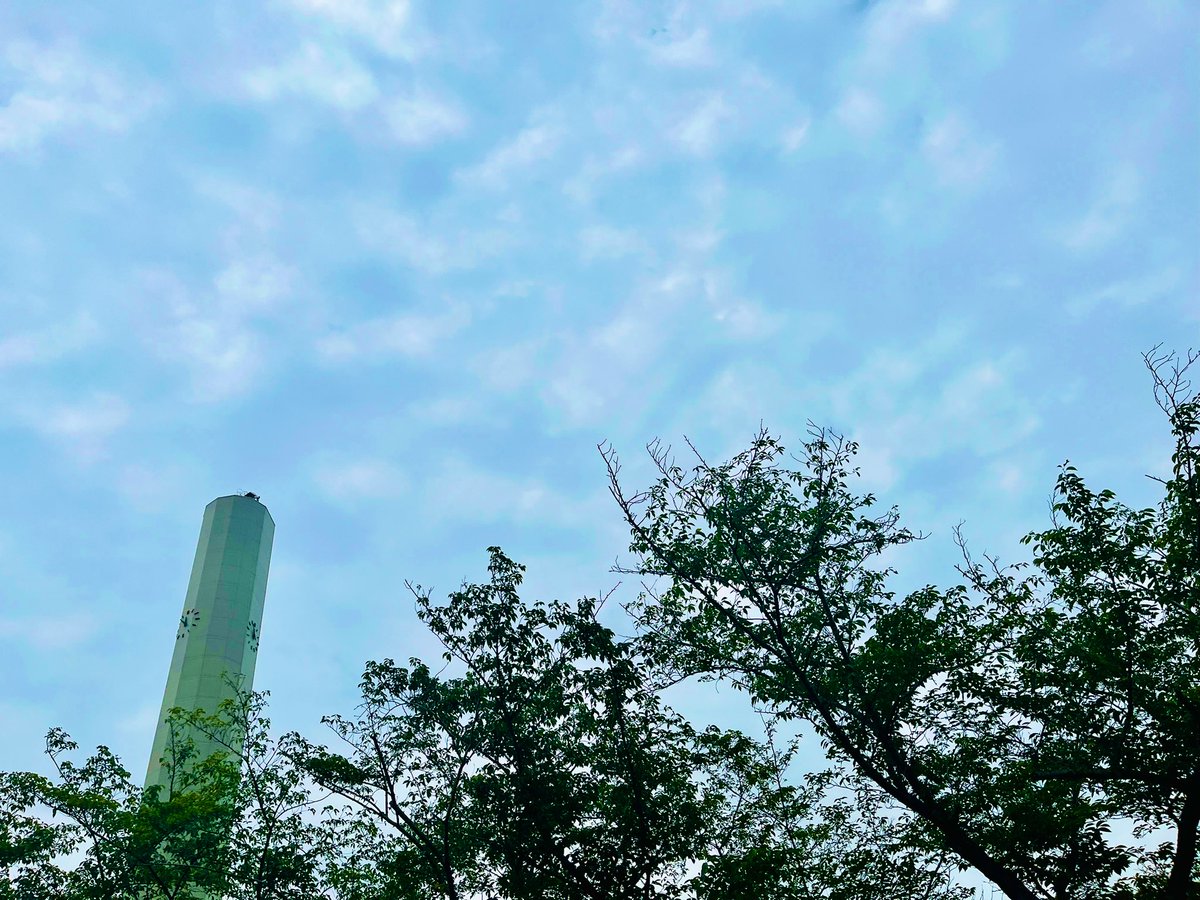 祖父母の3回忌と13回忌でした。
最近着けているスカーフやスカーフ留めは祖母のもの👵私のファッション好きは祖母譲り☺️
大切にとってある成人式の時のお着物は、祖父がせっかくなんだから買わなくちゃ！と買ってくれたもの👴家族の為に何かしたくなるのは祖父譲り🤭
いつまでも見守っていてください🙏