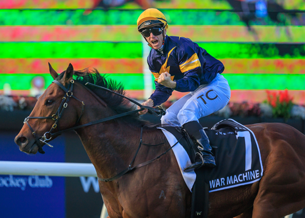 Tara Madgwick (@breednet) on Twitter photo Move over Mr B - the Lindsay Park boys might have found another Kiwi bred in War Machine to maybe one day fill those very big shoes - G1 Stradbroke winner today and third G1 winner for Harry Angel breednet.com.au/news/39932/war… <a href="/DarleyAus/">Darley in Australia</a> <a href="/lindsayparkrace/">Lindsay Park Racing</a> <a href="/KarakaChat/">New Zealand Bloodstock</a> <a href="/paomaphotos/">Grant Courtney</a> Move over Mr B - the Lindsay Park boys might have found another Kiwi bred in War Machine to maybe one day fill those very big shoes - G1 Stradbroke winner today and third G1 winner for Harry Angel breednet.com.au/news/39932/war… <a href="/DarleyAus/">Darley in Australia</a> <a href="/lindsayparkrace/">Lindsay Park Racing</a> <a href="/KarakaChat/">New Zealand Bloodstock</a> <a href="/paomaphotos/">Grant Courtney</a>