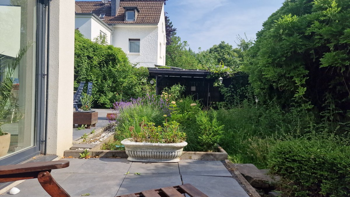 gumo chat (ich hatte ganz viel sex heute nacht)