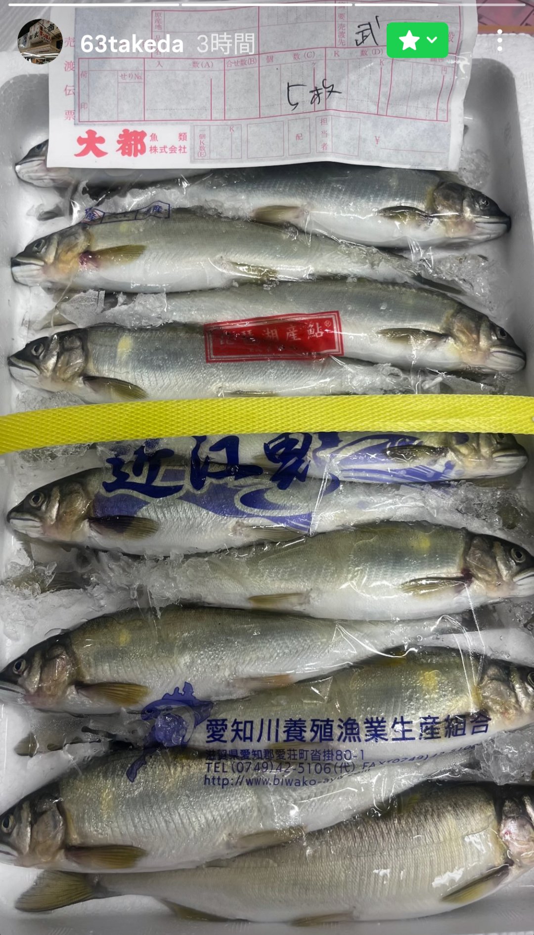 西根工房 ドリームラッシュ9FR 琵琶湖鮎河川遡上型 ② 西根工房 ドリームラッシュ9FR 琵琶湖鮎河川遡上型 ① - メルカリ