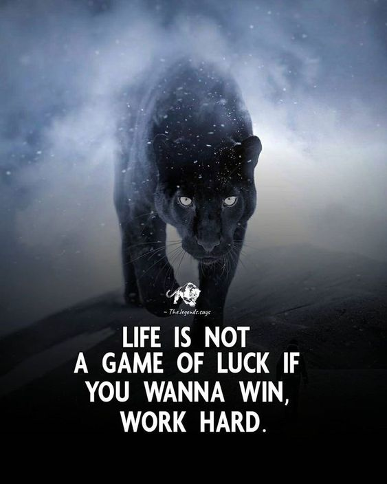 Mindful Maven tweet media