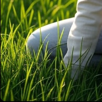 #openseatouchgrass <a href="/opensea/">OpenSea</a> Yay!
