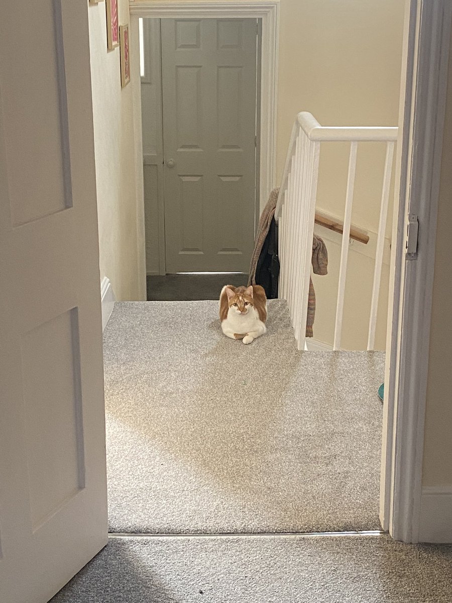 binkywinkywoo's tweet image. i have Been     the Waiting for yuo.