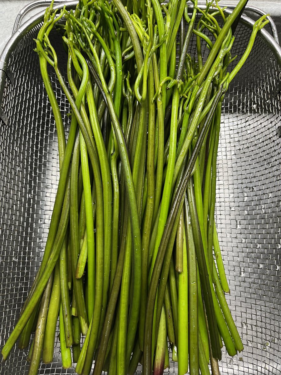 わらび
キタァ〜😁
生姜のせていただきます