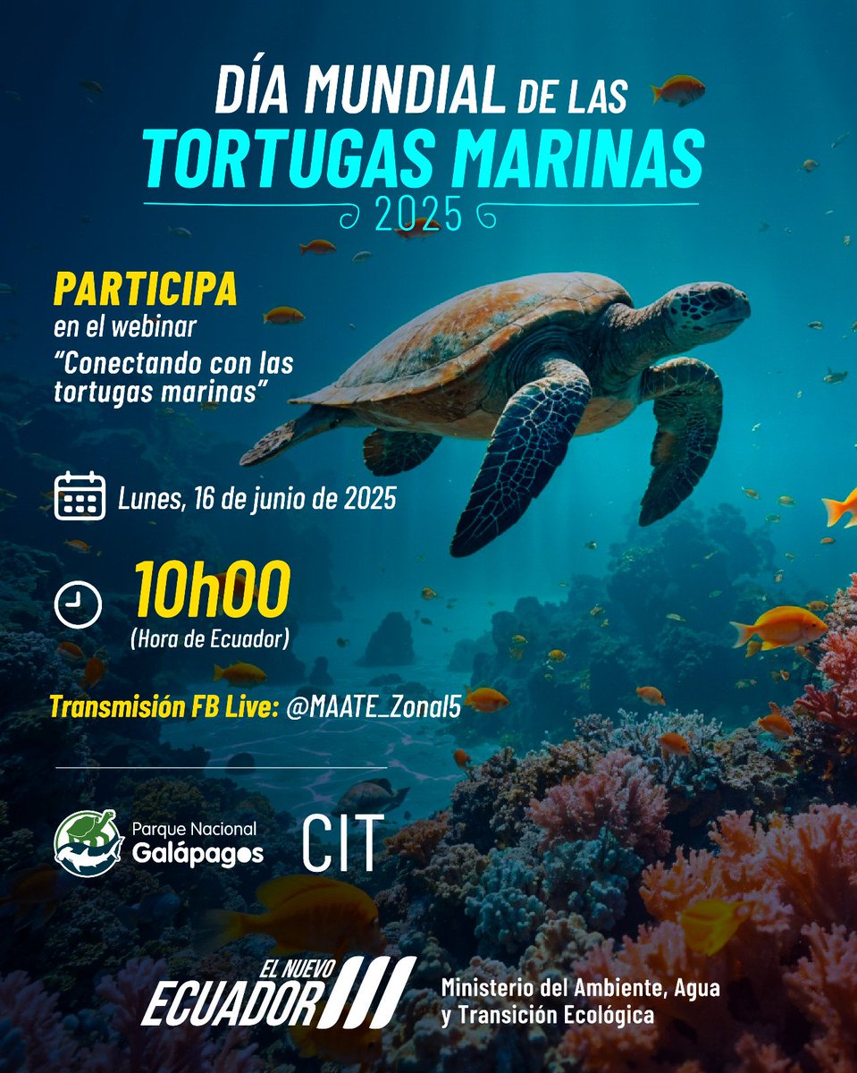 INVITACIÓN | Conoce más el mundo 🌎 de las tortugas marinas🌊🐢 junto a expertos de diferentes países. Te esperamos el ⬇️

📅 Lunes, 16 de junio de 2025
⏰ 10h00 (🇪🇨)
Síguelo a través de Facebook live: <a href="/MAATE_Zonal5/">Dirección Zonal 5 MAE</a>