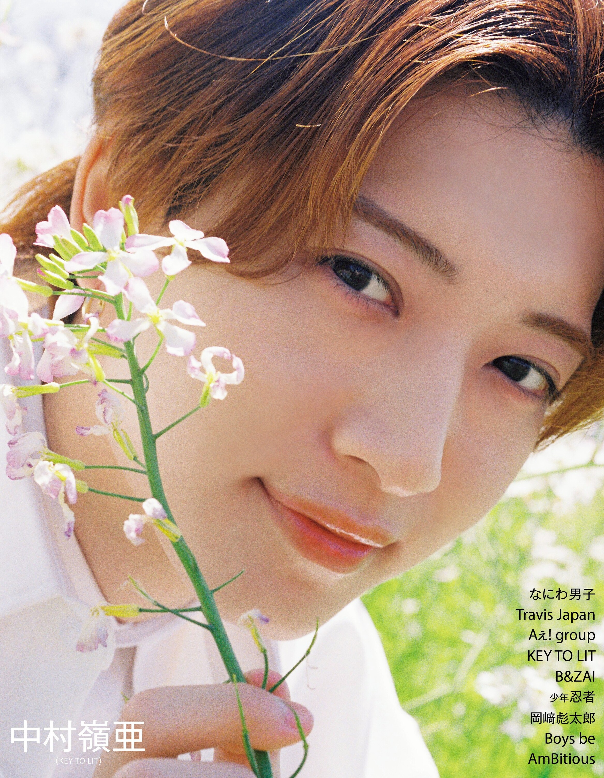明星 (@Myojo_henshu) / X