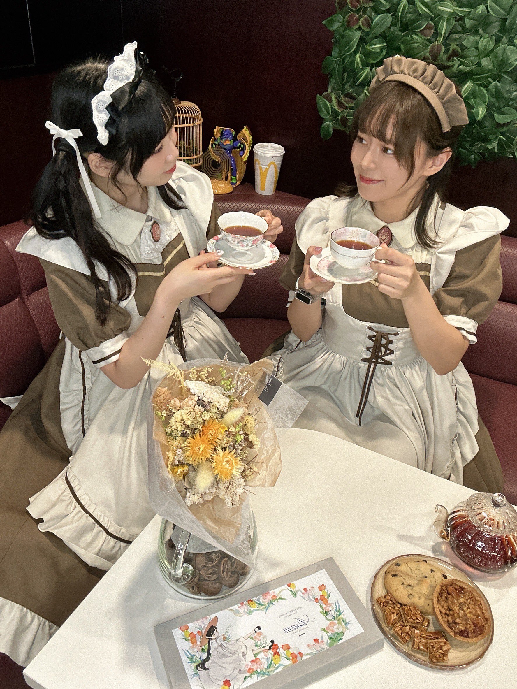 メイド喫茶とまり木🕊️ on X: 
