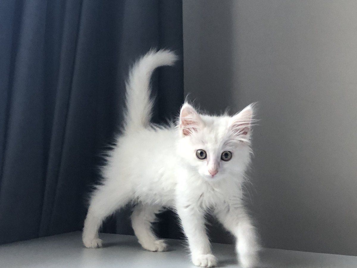 Архив,4 года назад 😻