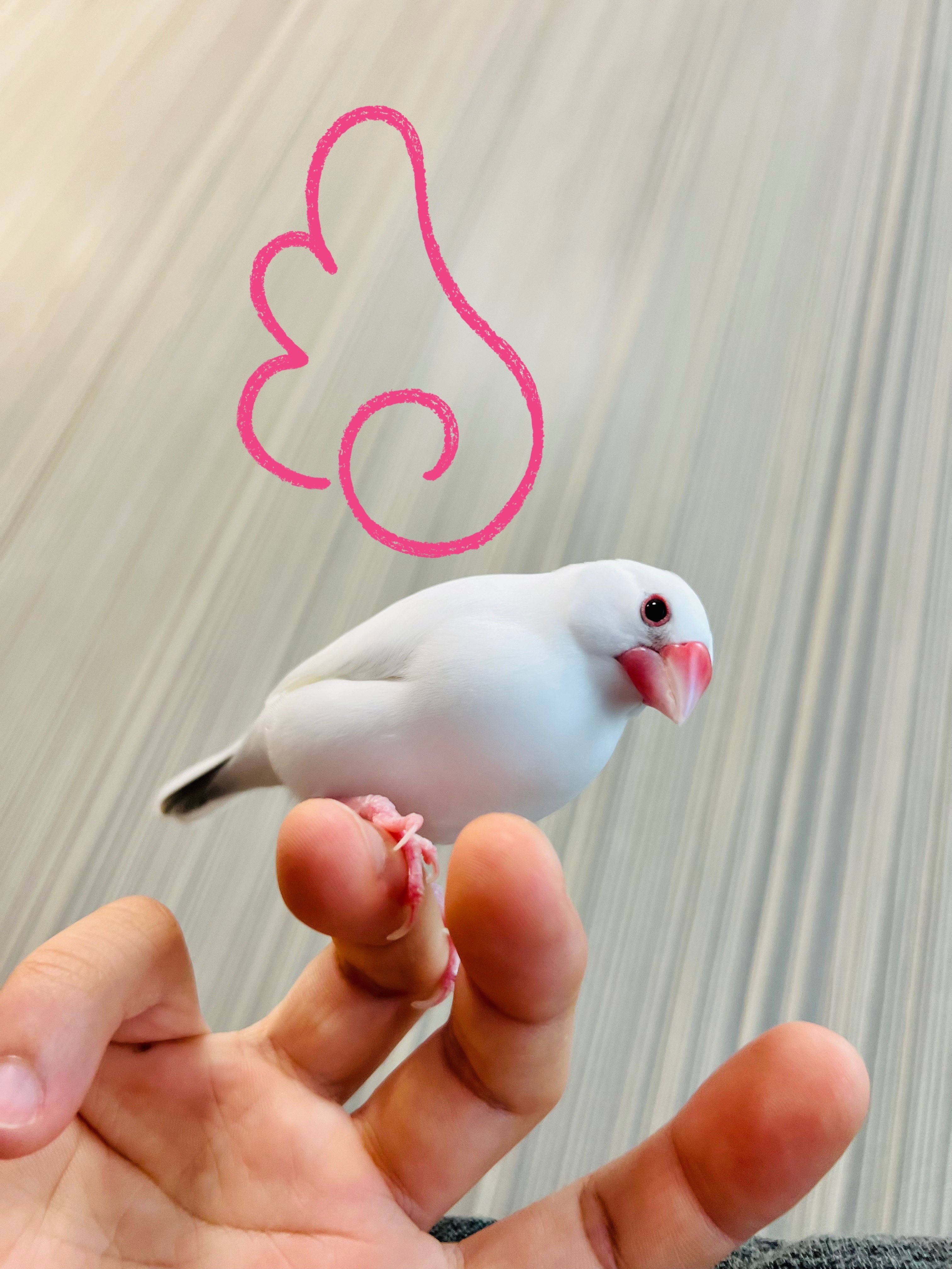 hanaちゃん (@sa10c_hi) / X