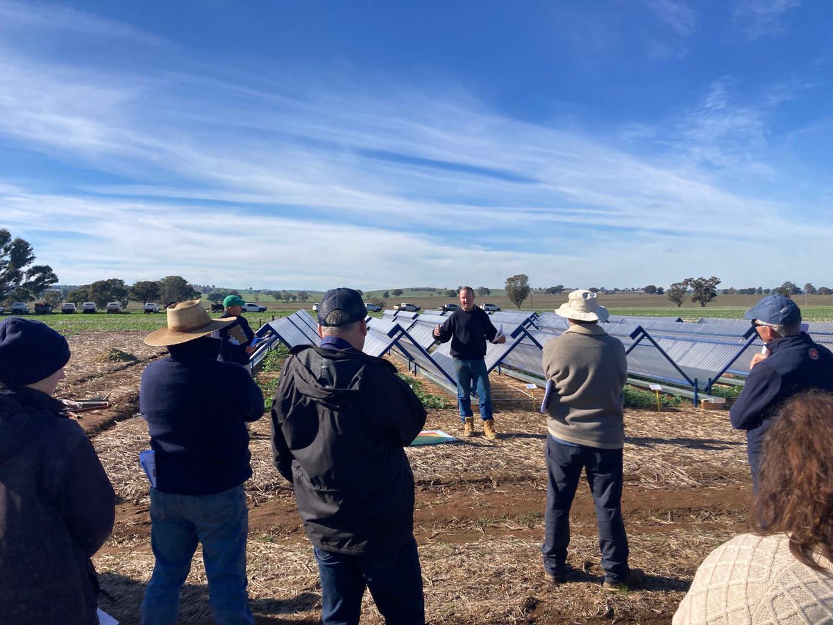 Colin McMaster (@master4colin) on Twitter photo Big thanks to the growers and advisors for supporting yesterdays <a href="/theGRDC/">GRDC</a> canola establishment field walk at Canowindra.
Great discussion and thanks to <a href="/AgroJAK/">John Kirkegaard</a> and <a href="/DaveFinlayTrang/">Dave Finlay</a> for your contribution👍. Hope it helped Big thanks to the growers and advisors for supporting yesterdays <a href="/theGRDC/">GRDC</a> canola establishment field walk at Canowindra.
Great discussion and thanks to <a href="/AgroJAK/">John Kirkegaard</a> and <a href="/DaveFinlayTrang/">Dave Finlay</a> for your contribution👍. Hope it helped