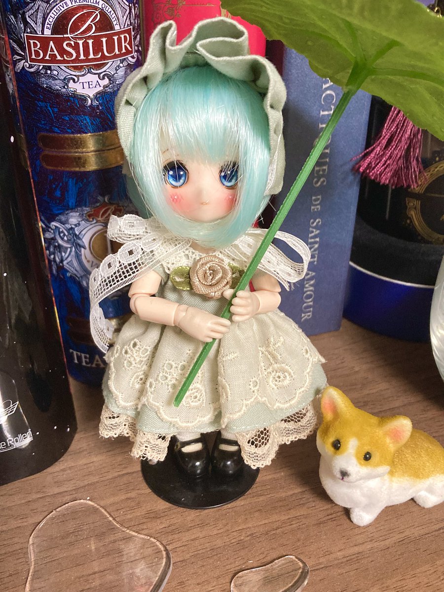 mohirodoll's tweet photo. 最近お写真がご無沙汰だったので撮ってみた📸 https://t.co/MlAeEvd5RD