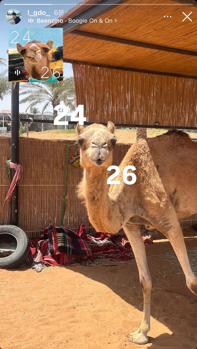 경도님 제발 그만 웃겨주심 안될까요
뜬금포 개그 재능충임