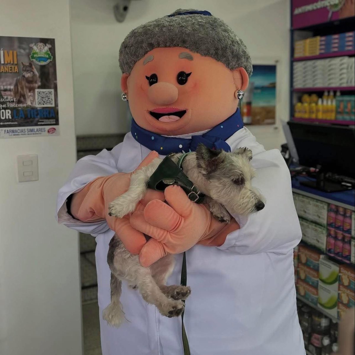 Les presentamos a la Doctora Lares, es la veterinaria oficial de Simi Pet Care. 🐶🙌
